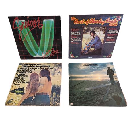Vintage Vinyl Classic Rock Record Lot, 12"