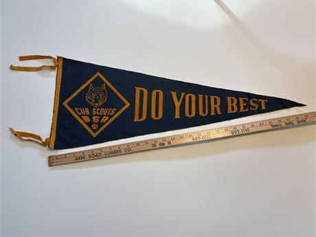 Cub Scouts B S A