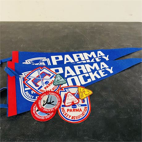 Parma Hockey Lot