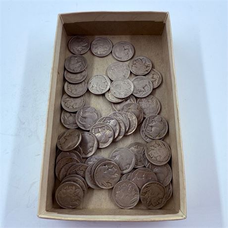 50 Unsearched Buffalo Nickels