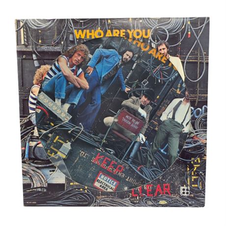 The Who "Who are You?" Picture Disc 1978