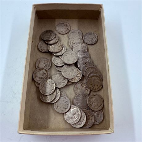 50 Unsearched Buffalo Nickels