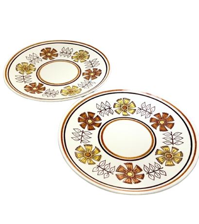 Vtg Anchor Hocking Ironstone "Strawflower" Dinner Plates - 2