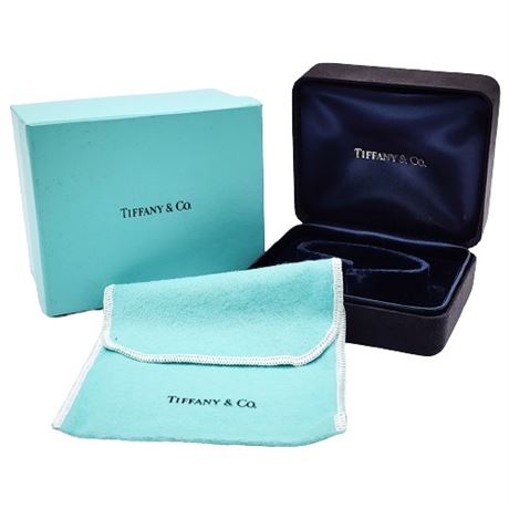 EMPTY Tiffany & Co. Watch Box, Aqua Box & Dust Bag