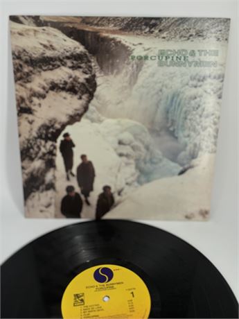 Echo And The Bunnymen