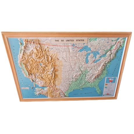 The 50 United States NYSTROM Raised Relief Map (Plastic)