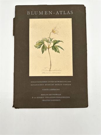 Blumen-Atlas  .. A Folio of Nine  German Botanicals circa 1951