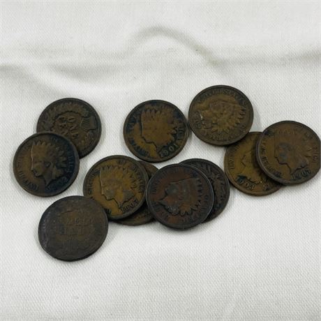 11 Unsearched Indian Head Pennies