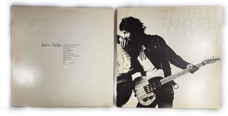 Vinyl Record Lot James Taylor BSK 3113 Bruce Springsteen 33795