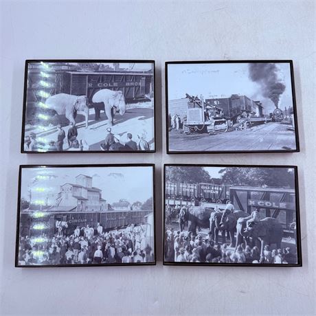 4 Circus Photos