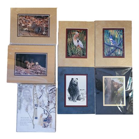 Animal Framed Photographs / Prints