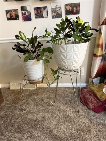 2 Plant Stands w/Plants