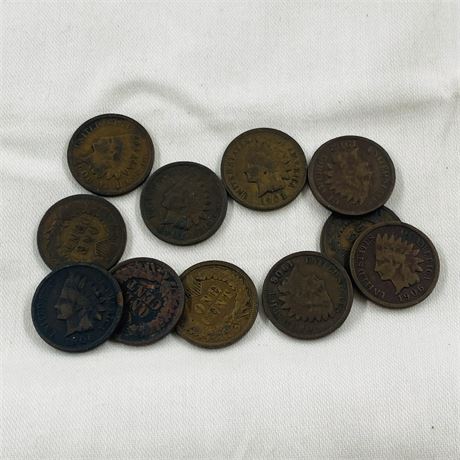 11 Unsearched Indian Head Pennies