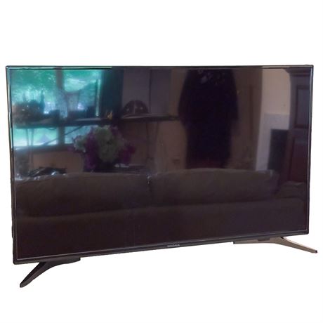 Insignia 42" LED TV