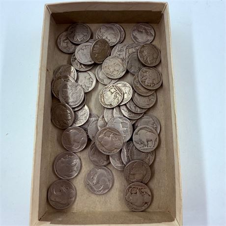 50 Unsearched Buffalo Nickels