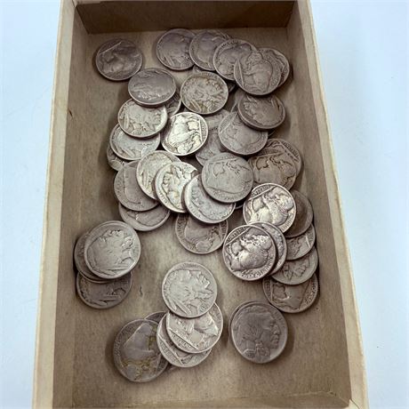 50 Unsearched Buffalo Nickels
