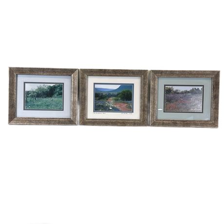 Trio of Framed Photographic Art Prints
