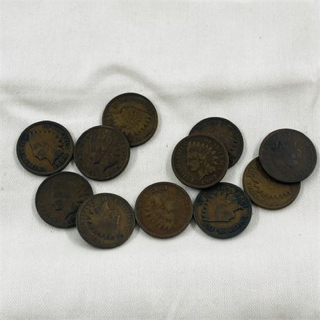 11 Unsearched Indian Head Pennies