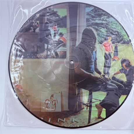 Pink Floyd Ummagumma Picture Disc Vinyl Record