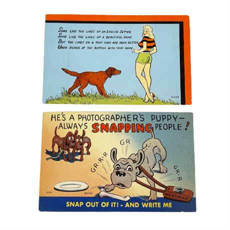 Lot of Vintage Color Litho Novelty Postcards- Dogs