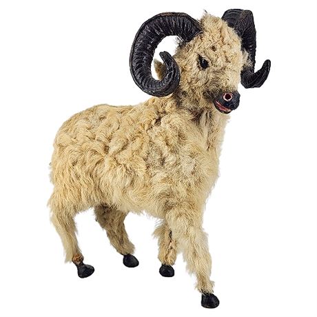 Vintage Taxidermy Miniature Bighorn Sheep/Ram