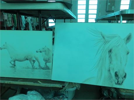 2 Stretched Canvas Horse Pictures
