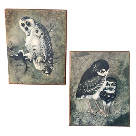 Vintage Pair of Owl Painting Prints by Richard Hinger