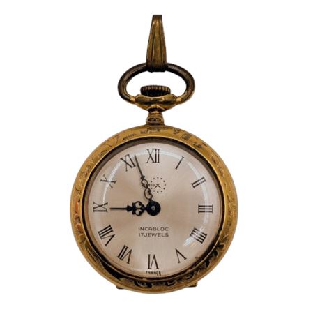 Arnex 17 Jewels Incabloc Watch