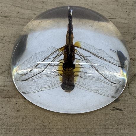 Dragonfly Paperweight