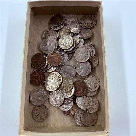 50 Unsearched Buffalo Nickels