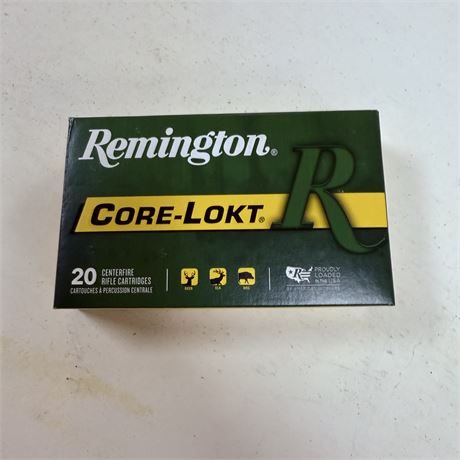 20 Rounds 30-06 Ammo