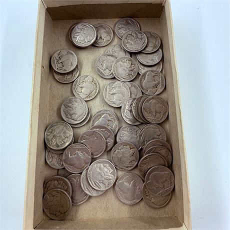 50 Unsearched Buffalo Nickels