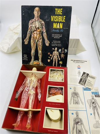 NOS 1959 The Visible Man Anatomical Model