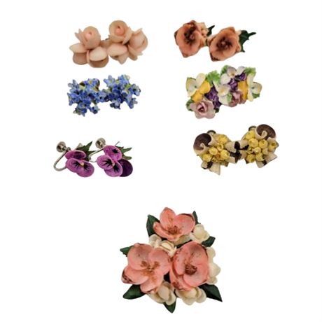 Lot of 6 Shell Screwn Back Earrings and Shell Brooch with Flaws