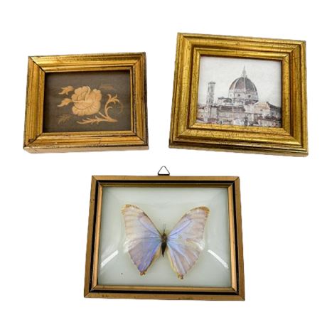 Lot of Gold Framed Wall Art with Blue Morpho Butterfly
