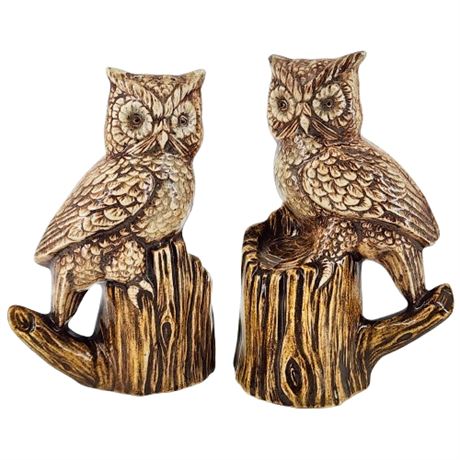 Vintage Ceramic Owls Salt & Pepper Shakers Set