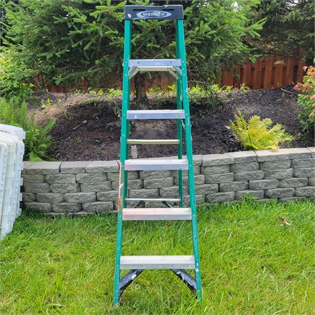 Green Werner 5 Ft Ladder