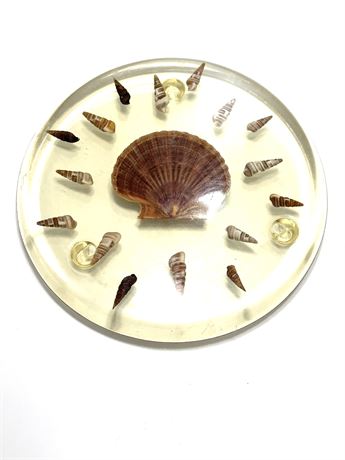 Vtg Acrylic Shell Trivet by Capricia Creations