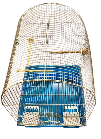 Older Vintage birdcage