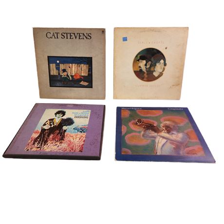 Vintage Vinyl Classic Rock Record Lot, 12"