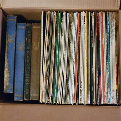 Large Vinyl Record Lot #3