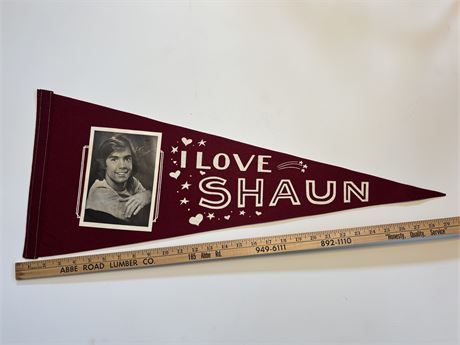 I Love Shaun
