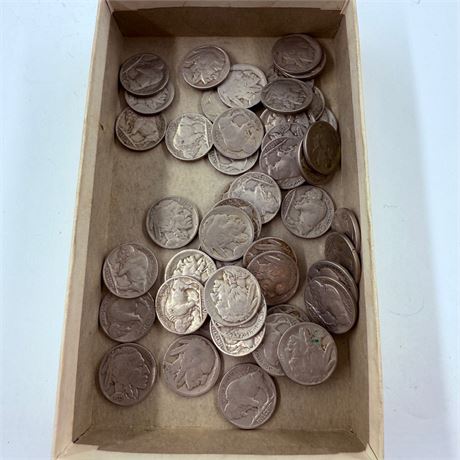 50 Unsearched Buffalo Nickels