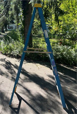 8 ft Werner aluminum step ladder