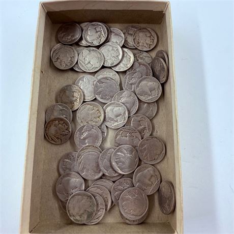 50 Unsearched Buffalo Nickels