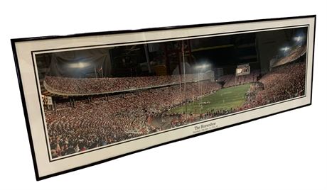 39” Finely Framed OSU Buckeyes Football Stadium Game Night Photograph