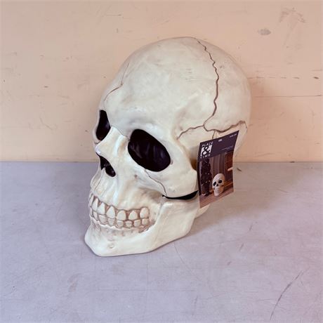 17” Skull Decoration