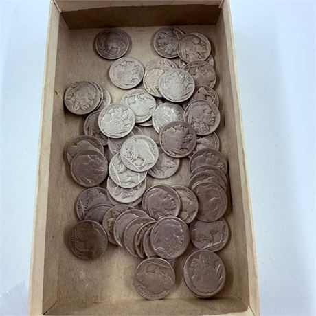 50 Unsearched Buffalo Nickels