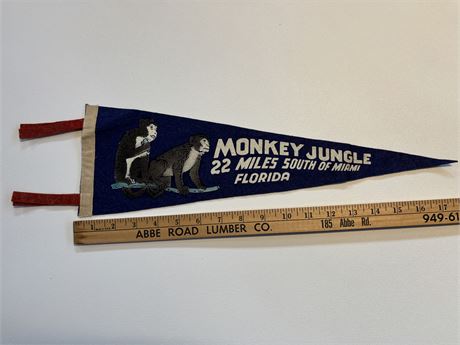 Monkey Jungle