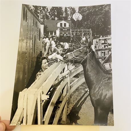 Seabiscuit Original Press Photograph